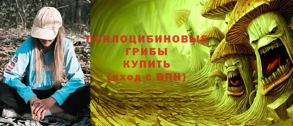apvp Арсеньев