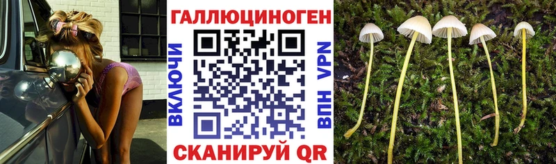 Псилоцибиновые грибы Magic Shrooms  Купить закладки  Петров Вал 